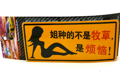 汽車用品車飾 反光車貼 汽車警示貼 汽車車貼/反光彩頁(yè)汽車貼C2-5-3