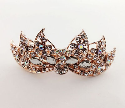 大號(hào)韓版發(fā)夾飾品批發(fā) 新款時(shí)尚女生橫夾頭飾 百搭清新發(fā)卡廠家直銷(xiāo)b8-1-5