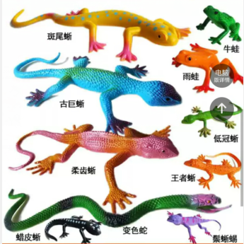 仿真昆蟲模型 兒童玩具動物 蝴蝶蜜蜂蝎子蚱蜢螳螂蜻蜓蜘蛛蜥蜴500/件40/桶六B13-1-2