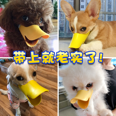 DS-311-L狗狗防叫可調(diào)節(jié)咬口罩亂咬止吠器寵物鴨嘴套