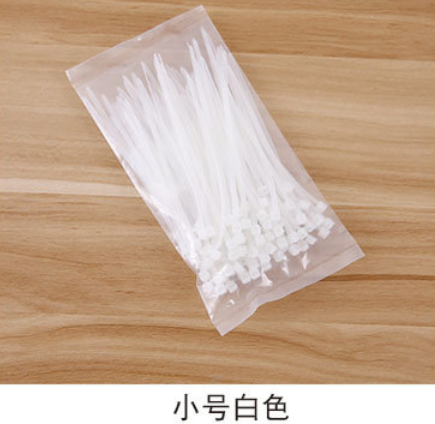 （小號(hào)白2.5*100）100條裝綁扎帶自鎖式尼龍?jiān)鷰Ю€理線A8-3-2