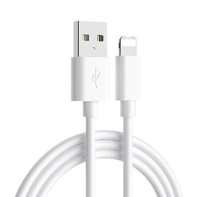 （特價(jià)）袋裝1米蘋果快充數(shù)據(jù)線手機(jī)充電器線六A2-6-2